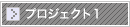 プロジェクト1