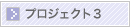 プロジェクト3